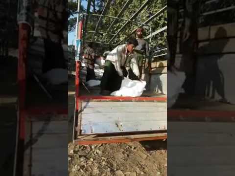 جمعية فرنسية تقدم مساعدات للمسلمين الروهنغيا في أراكان