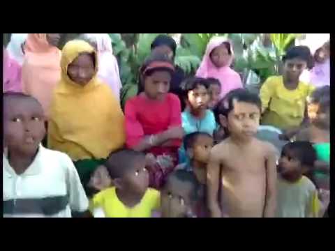 روهنغيون معزولون عن الحياة يأكلون أوراق الشجر .. فما السبب؟