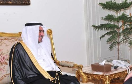 "مدني" يناقش قضية الروهنجيا مع "بان كي مون"