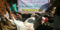 (GRC) يوزع لحوم أضاحي للروهنجيين في بنغلاديش وأراكان