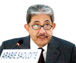 المملكة تعرب عن قلقها من الانتهاكات التي يتعرض لها مسلمو الروهنغيا