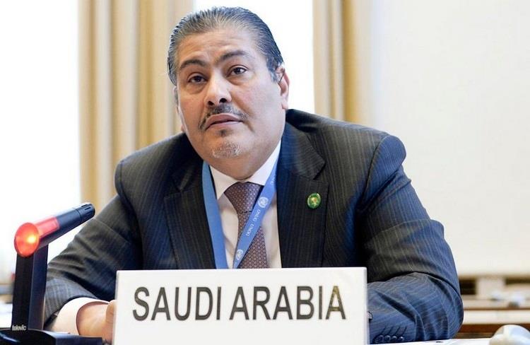 المملكة تطالب بوقف انتهاكات حقوق الإنسان ضد المسلمين في ميانمار