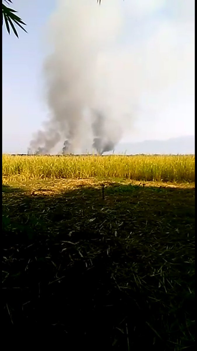 الجيش في ميانمار يبحث عن منازل الروهنغيا ويواصل حرقها