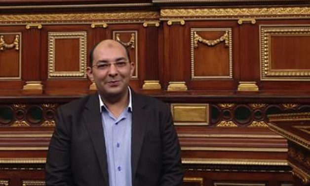 نائب مصري يتقدم بأول طلب إحاطة لوزير الخارجية بشأن مجازر "ميانمار" ضد المسلمين