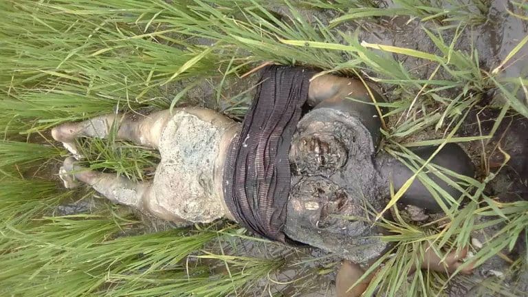 جيش ميانمار برفقة رهبان بوذيين يواصلون عمليات القتل والإبادة ضد الروهنغيا
