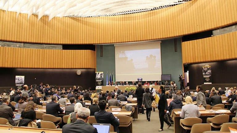 تبرعات تركيا لمسلمي الروهنغيا ستتجاوز 50 مليون دولار