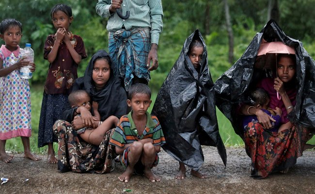 نصف مليون من الروهنغيا يصلون حديثا إلى بنغلاديش هربا من العنف في ميانمار
