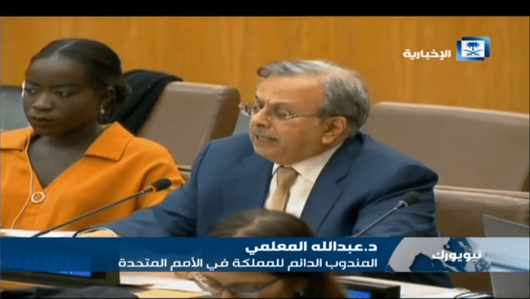 الأمم المتحدة تتبنى قرار منظمة التعاون الإسلامي بشأن ميانمار