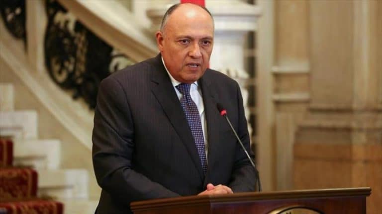 مصر قلقة من "معاناة" الروهنغيا و"تعقيد" المشهد الفلسطيني