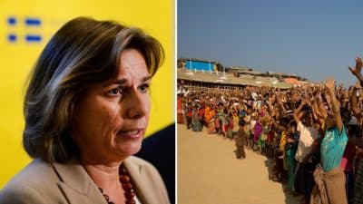 السويد تخصص 100 مليون كرون إضافية لمسلمي الروهنغيا