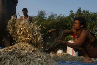 الروهنغيا المتبقون في ميانمار يعانون من الخوف والعزلة