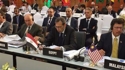 مصر تعلن تضامنها مع مسلمي «الروهنغيا» أمام منظمة التعاون الإسلامي
