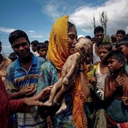 قصة آلام الروهنغيا بالصور