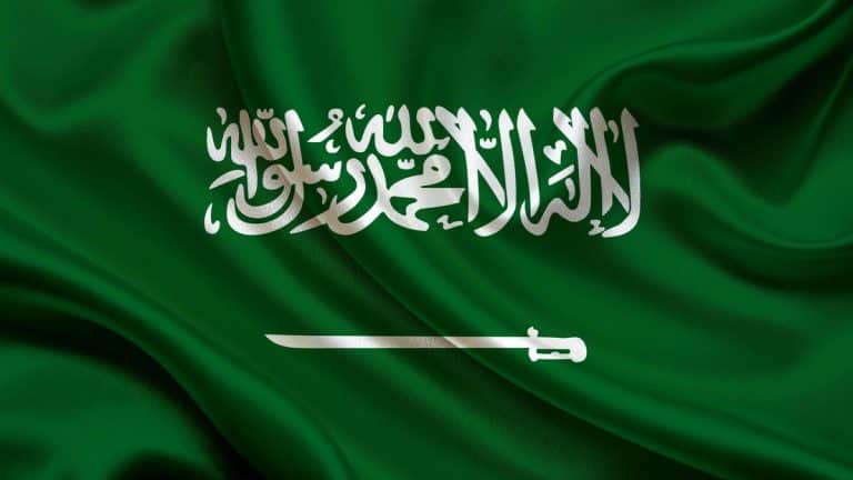السعودية تُدين الانتهاكات ضد مسلمي الروهنغيا في ميانمار
