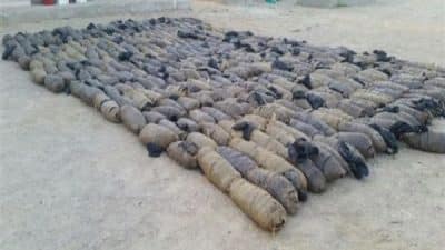 ضبط 1.5 طن من الخشخاش أثناء محاولة تهريبه من ميانمار