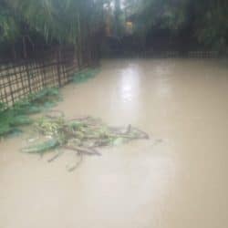 مياه الأمطار تغمر قرى الروهنغيا في ميانمار وتحتجزهم في بيوتهم