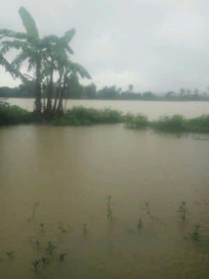 ولاية أراكان تتحول إلى مياه موحلة بعد الأمطار الموسمية في ميانمار