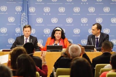 أزمة الروهنغيا تتصدر ملفات مجلس الأمن لشهر أغسطس