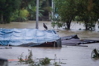 صور.. 85 قرية في ميانمار خالية من السكان عقب انهيار سد وغرق الشوارع