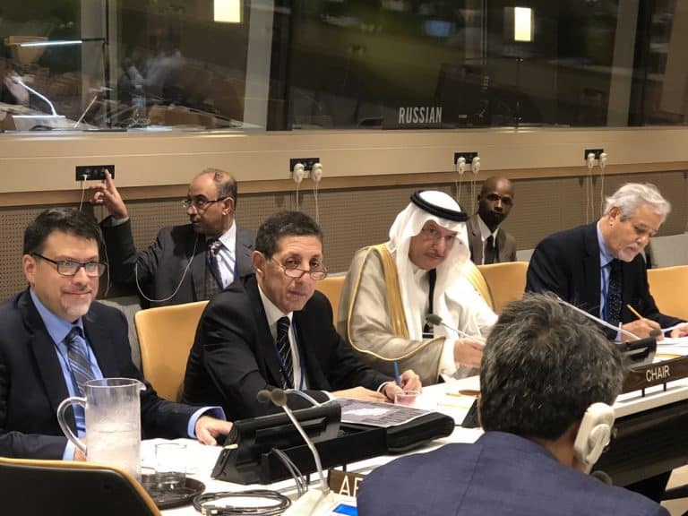 منظمة التعاون الإسلامي تثير محنة الروهنغيا داخل أروقة الأمم المتحدة