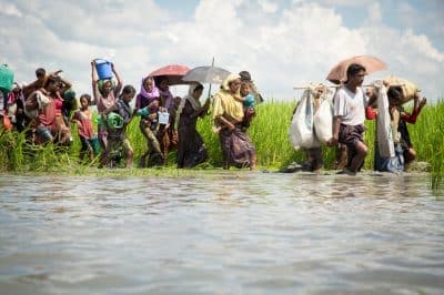 الأمم المتحدة: حكومة ميانمار تشتت الانتباه عن الفظائع المرتكبة بحق الروهنغيا