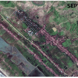 تقرير خاص لرويترز : تصرفات ميانمار تقول إن الروهنغيا لن يعودوا إلى ديارهم