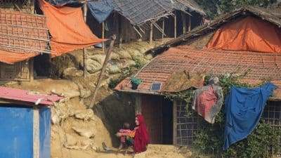 مشروع لإبادة حشرات تدمر هياكل مخيمات الروهنغيا في بنغلادش