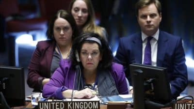 بريطانيا: مجلس الأمن قلق للغاية إزاء أوضاع الروهنغيا في ميانمار