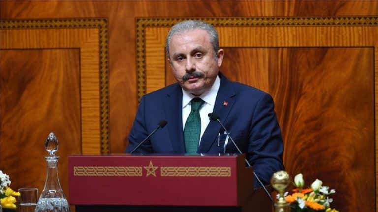 البرلمان التركي يدعو الدول الإسلامية إلى حل مشكلات الروهنغيا