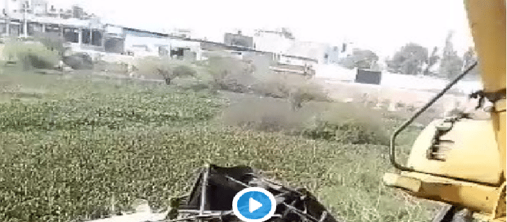 السلطات الهندية تزيل أكواخ اللاجئين الروهنغيا في حيدر آباد