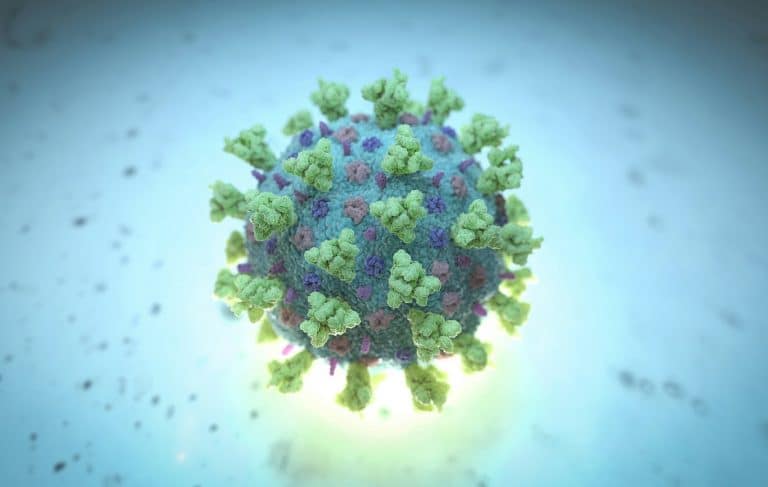 بنغلادش تخصص مختبرا في منطقة اللاجئين الروهنغيا لاستقبال حالات الإصابة بكورونا