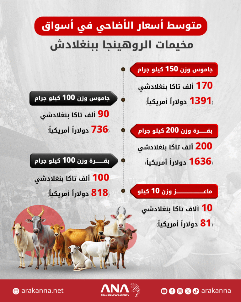 متوسط أسعار الأضاحي بأسواق مخيمات الروهينجا ببنغلادش