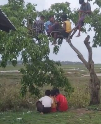 فرض رسوم باهظة على الروهينجا مقابل استخدام شرائح بنغلادشية في أراكان