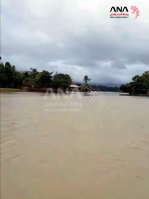 أراكان: فيضانات تجتاح مونغدو وتدمر الحقول الزراعية وقرى الروهينجا