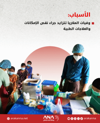 تفشي واسع للملاريا في أراكان خلال 2025