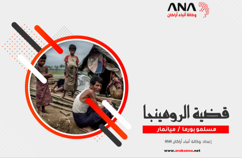 الصفحة الرئيسية