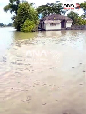 أراكان: فيضانات تجتاح مونغدو وتدمر الحقول الزراعية وقرى الروهينجا