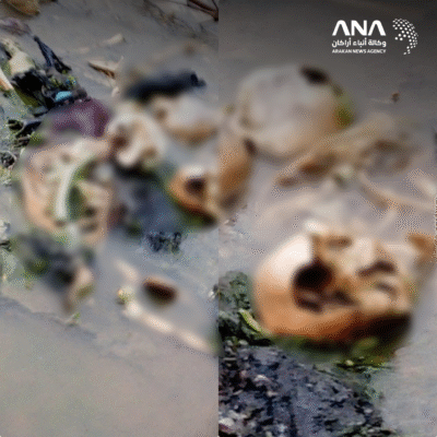 صور توثق مذبحة جماعية لأكثر من 600 روهنجي على يد جيش أراكان في بوثيدونغ