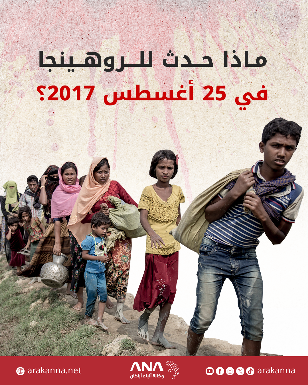 الصفحة الرئيسية