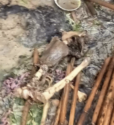 صور توثق مذبحة جماعية لأكثر من 600 روهنجي على يد جيش أراكان في بوثيدونغ