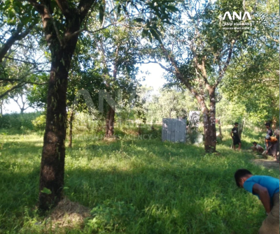 إجبار أطفال الروهينجا على العمل القسري دون أجر داخل معبد بوذي في أراكان 4 إجبار أطفال الروهينجا على العمل القسري دون أجر داخل معبد بوذي في أراكان