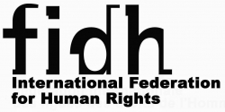 " FIDH " : أوضاع بورما تفرض تجديد ولاية "كوينتانا"