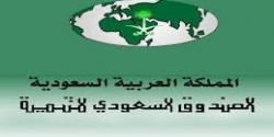 المملكة تتفق مع شؤون اللاجئين على دعم "الروهينغا" بـ231 ألف دولار