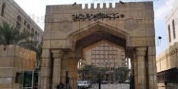 ''الأزهر'' يدعو الحكومات الإسلامية لمقاطعة ميانمار اقتصادياً