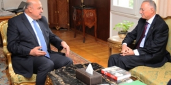 نائب الرئيس المصري يبحث مع إحسان أوغلو معاناة مسلمي ميانمار