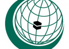 هيئة حقوق الإنسان بالتعاون الإسلامي تبحث أوضاع المسلمين في ميانمار وأفريقيا أول يونيو