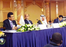 قضية مسلمي الروهنجيا تتصدر جدول أعمال (OIC)